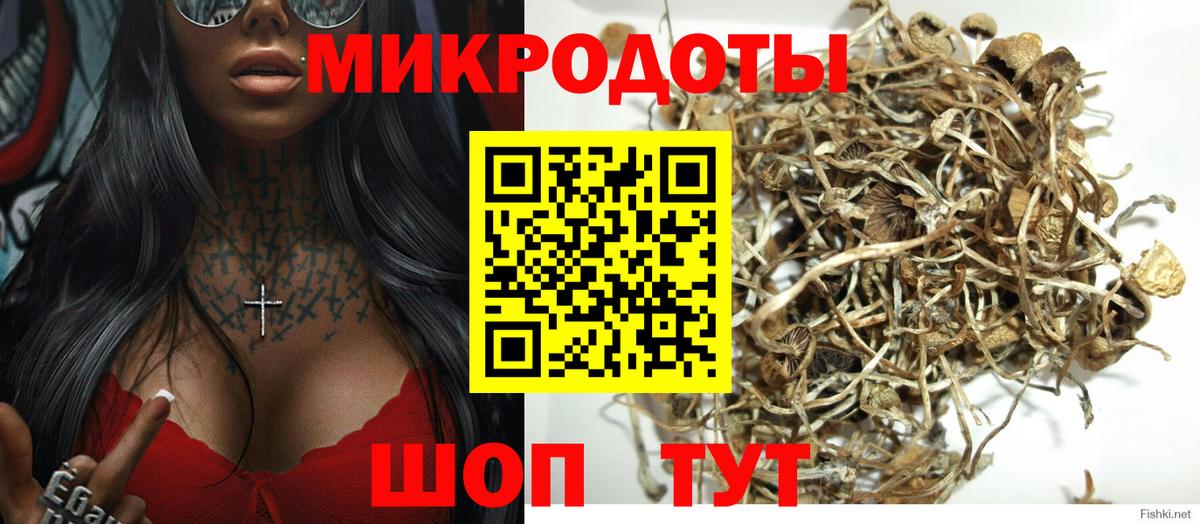 Галлюциногенные грибы Magic Shrooms  Вход с VPN  Галлюциногенные грибы Cubensis  Туапсе 