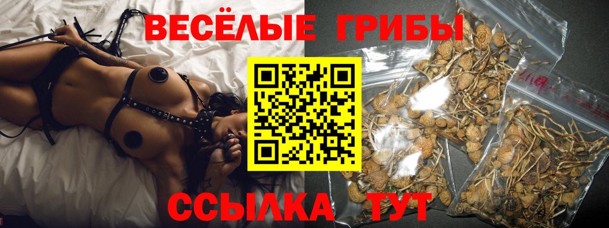 Галлюциногенные грибы Psilocybine cubensis Туапсе